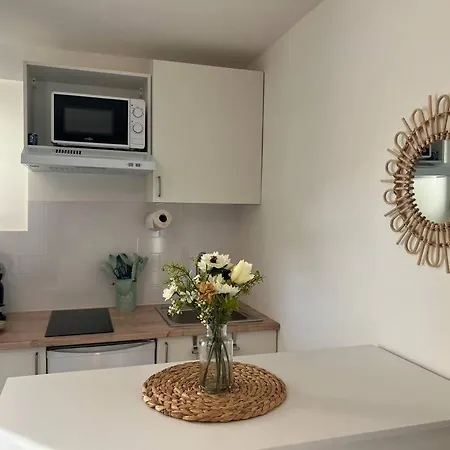 *la Pampa, Studio, Parking, Clim, Hopitaux/fac* * מונפלייה